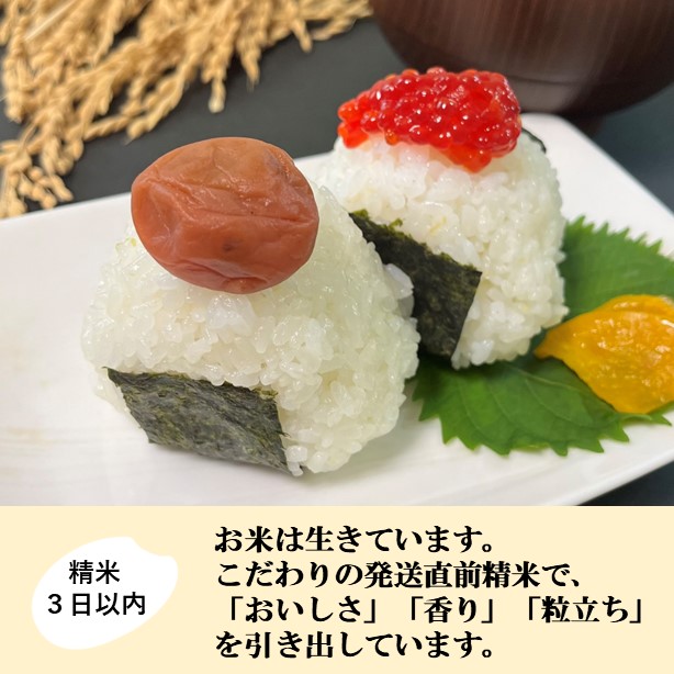 【令和7年産】【日本農業賞大賞】ひゃくまん穀27kg精白米 能美市 お米 米