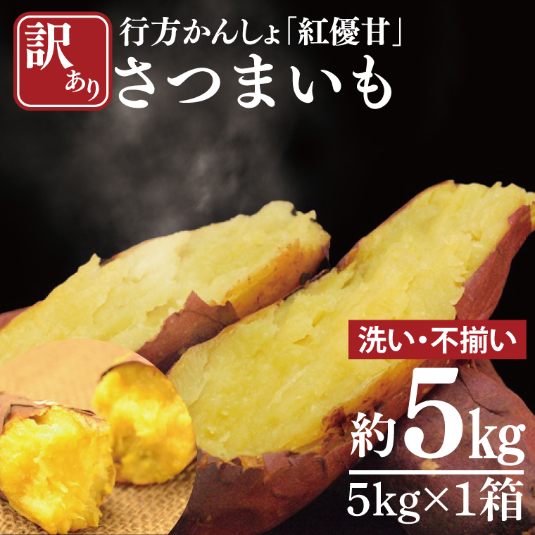 【2025年11月下旬より順次発送】【訳あり】行方かんしょ「紅優甘」さつまいも約5kg(洗い・不揃い)｜さつまいも サツマイモ さつま芋 お芋 紅優甘 行方かんしょ 訳あり わけあり 訳アリ 茨城県 行方市(AE-94)