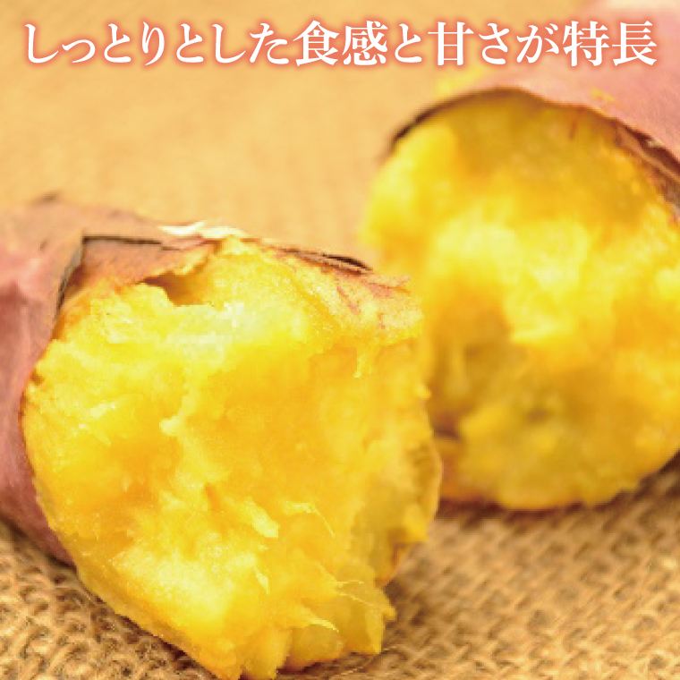 【2025年11月下旬より順次発送】【行方かんしょ】『天皇杯受賞』JA「紅優甘」さつまいも約10kg｜さつまいも サツマイモ さつま芋 お芋 紅優甘 行方かんしょ 茨城県 行方市(AE-97)