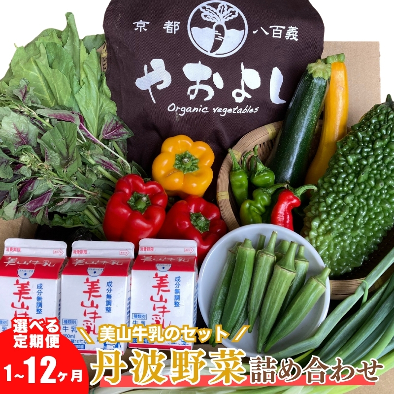 【京都府南丹市】【定期便6回】<京野菜の京都やおよし>丹波野菜詰め合わせ 美山牛乳のセット《栽培期間中農薬不使用 野菜》※北海道・沖縄・離島への発送不可
