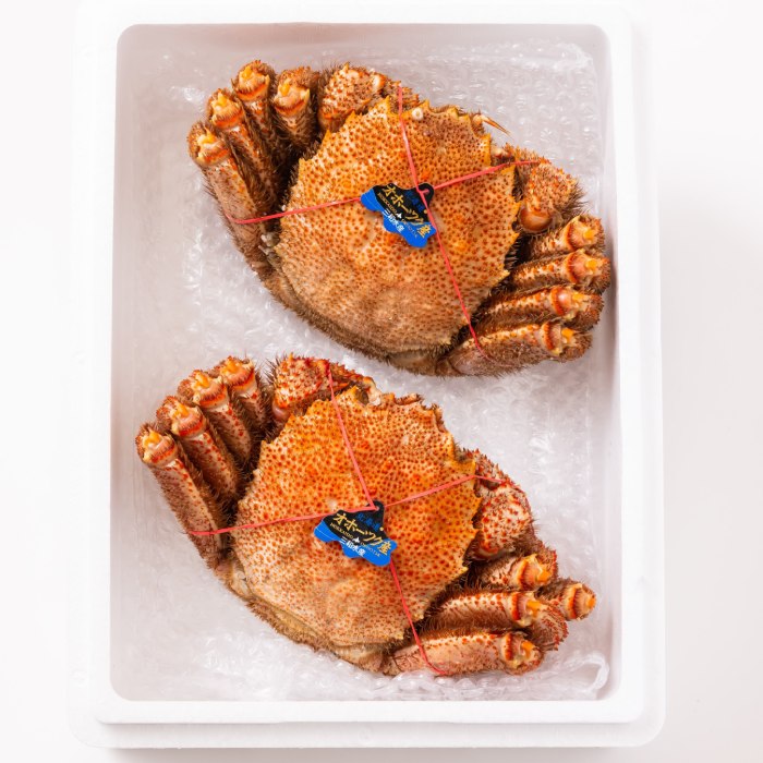 37-5 【年内配送12月15日入金まで】毛ガニ約570ｇ×2尾 within2025