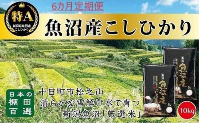 【新潟県十日町市】【令和7年産新米予約】【食味鑑定士厳選】6カ月 定期便 日本棚田百選のお米 天空の里 魚沼産 こしひかり 10kg(5kg×2)×6回 米 お米 コメ