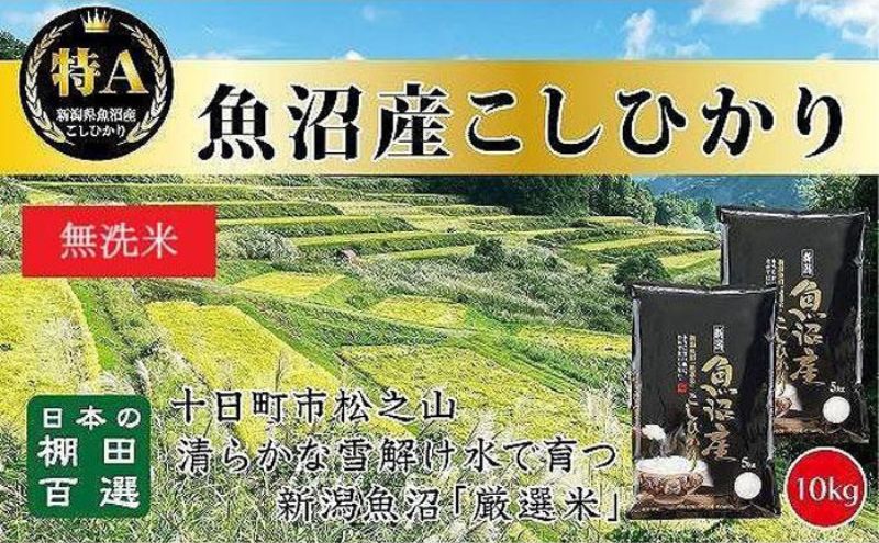 【新潟県十日町市】【令和7年産新米予約】【食味鑑定士厳選】日本棚田百選のお米 無洗米 天空の里 魚沼産 こしひかり 10kg(5kg×2)