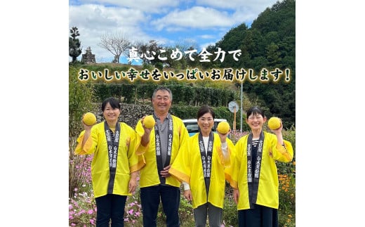 【果樹園直送】土佐文旦 特選品贈答用 約3kg L～2Lサイズ 6～7個入り ぶんたん ブンタン フルーツ 柑橘 みかん 果物 くだもの 柑橘類 デザート おやつ 贈り物 プレゼント 白木果樹園