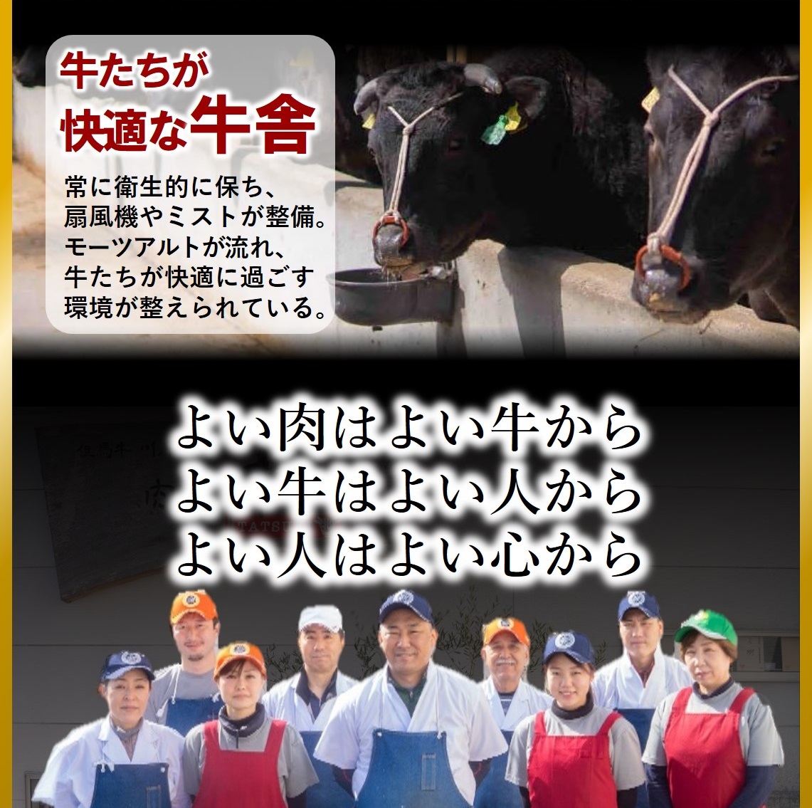 【神戸牛 牝】【7営業日以内発送】冷凍　ロースハーフステーキ120g×４枚 川岸畜産 (44-9)