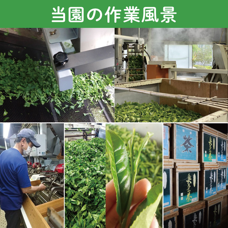 【農林水産大臣賞受賞】かねた園の奥久慈茶＆和紅茶のティーバッグ・粉末緑茶セット（茨ひよりパッケージ）（CK001）