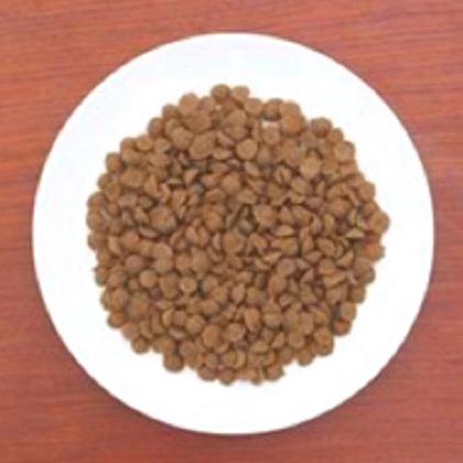 【成犬用フード/オーガニック/鹿肉/有機野菜/低カロリー】一般食　鹿のめぐみ100g×8　犬 ペットフード お取り寄せ 加工食品 