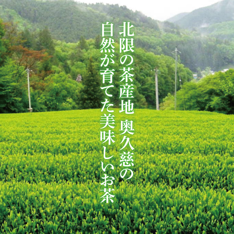 【農林水産大臣賞受賞】かねた園の奥久慈茶 特上煎茶・特上深むし茶セット 計300g（150g缶×各1本）（CK004）