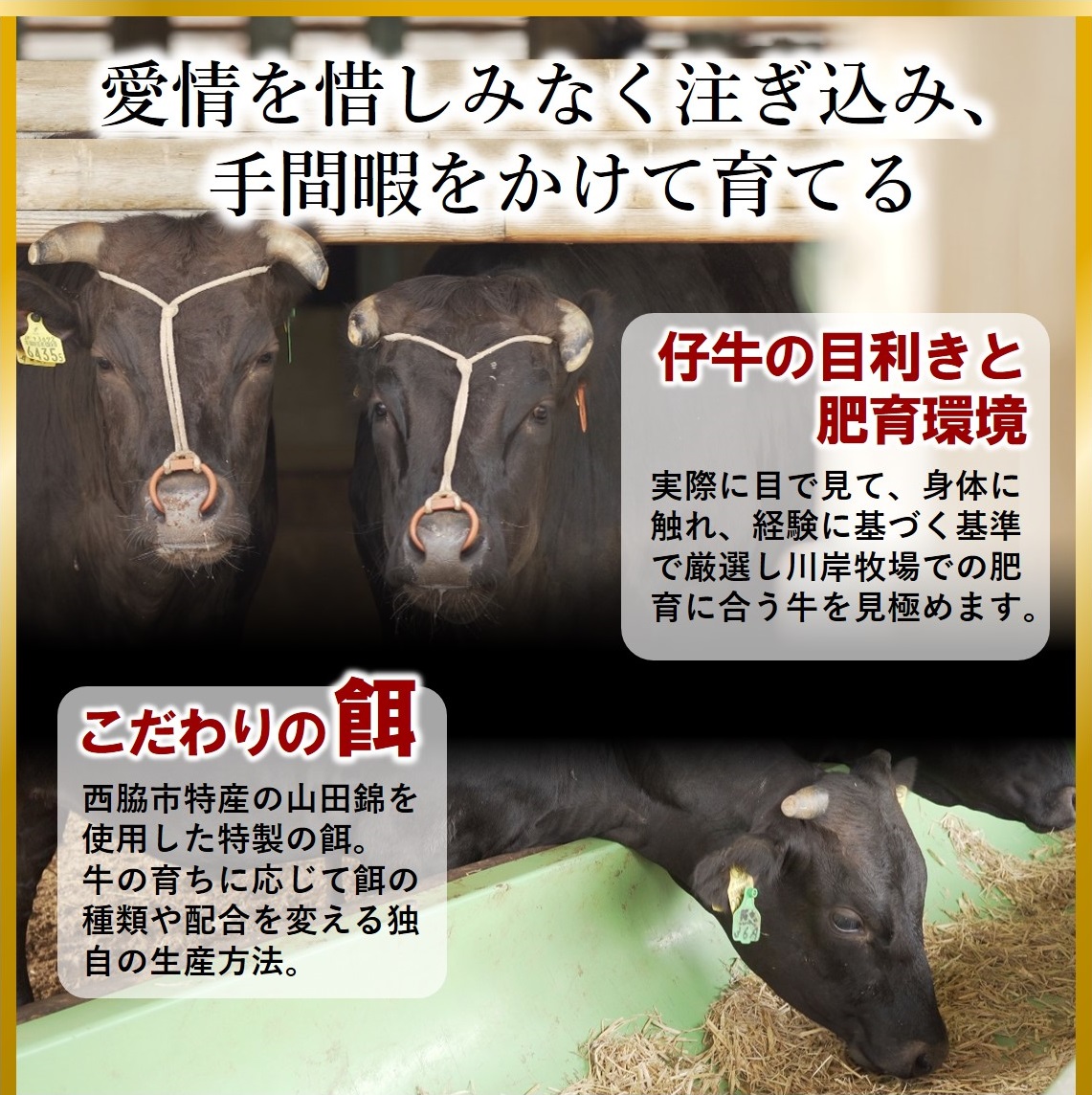 【神戸牛 牝】【7営業日以内発送】冷凍　牛ミンチ肉 1kg 川岸畜産 ひき肉 挽き肉 ミンチ 挽肉(15-54)