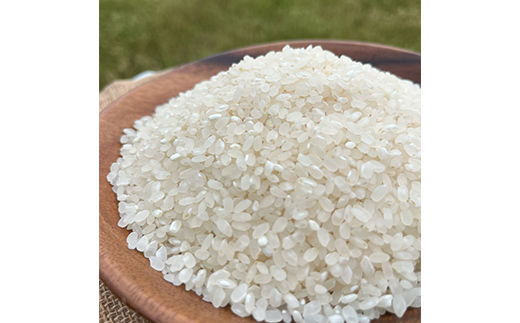 自然栽培米（真空）白米300g×4種　旭・初霜・農林22号・コシヒカリ 真空米 小分け 一人暮らし F6P-1937