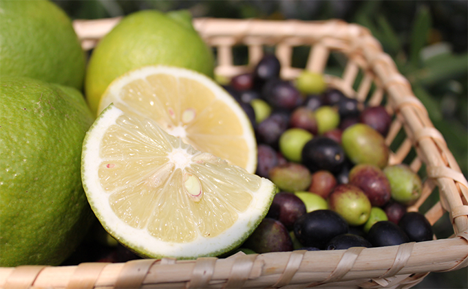 コシノジュンコ　小豆島産オリーブレモンドレッシング　2本セット 調味料 