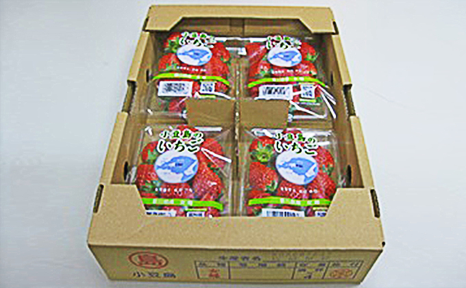 【香川県土庄町】【 小豆島 】小豆島のいちご(女峰)4パック 果物類 苺 イチゴ