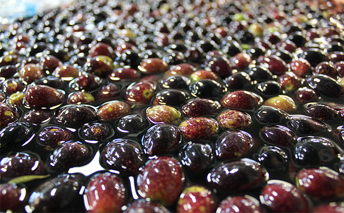 【 小豆島 】＜化粧用＞トレア　エメラルド　エキストラバージンオリーブオイル 美容グッズ スキンケア 美容 