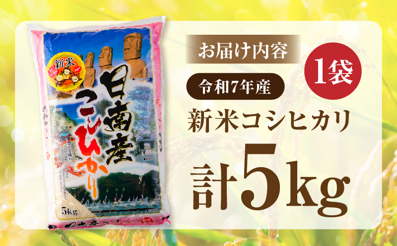 宮崎県日南市のふるさと納税 2週間以内に発送 早場米 令和7年産 新米 コシヒカリ 計5kg 米 期間限定 日南市産 お米 ご飯 ライス 国産 人気 食品 精米 白米 こしひかり 有洗米 おすすめ おにぎり お弁当 炊き込みご飯 雑炊 ギフト 贈り物 産地直送 宮崎県 日南市 送料無料_CA79-25
