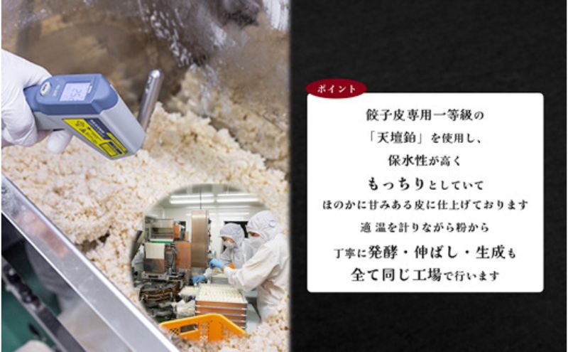 発芽にんにく餃子30個入り 餃子 にんにく にんにくたっぷり 国産にんにく 発芽にんにく 冷凍 臭わない 栄養価抜群 スタミナ 免疫アップ おつまみ おかず 総菜 餃子専門店 ぎょうざ 工場直売 