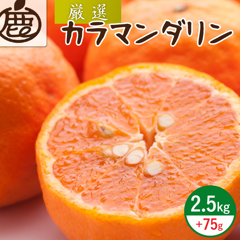 ミカン 1_b072e1f5-9db3-4045-808a-