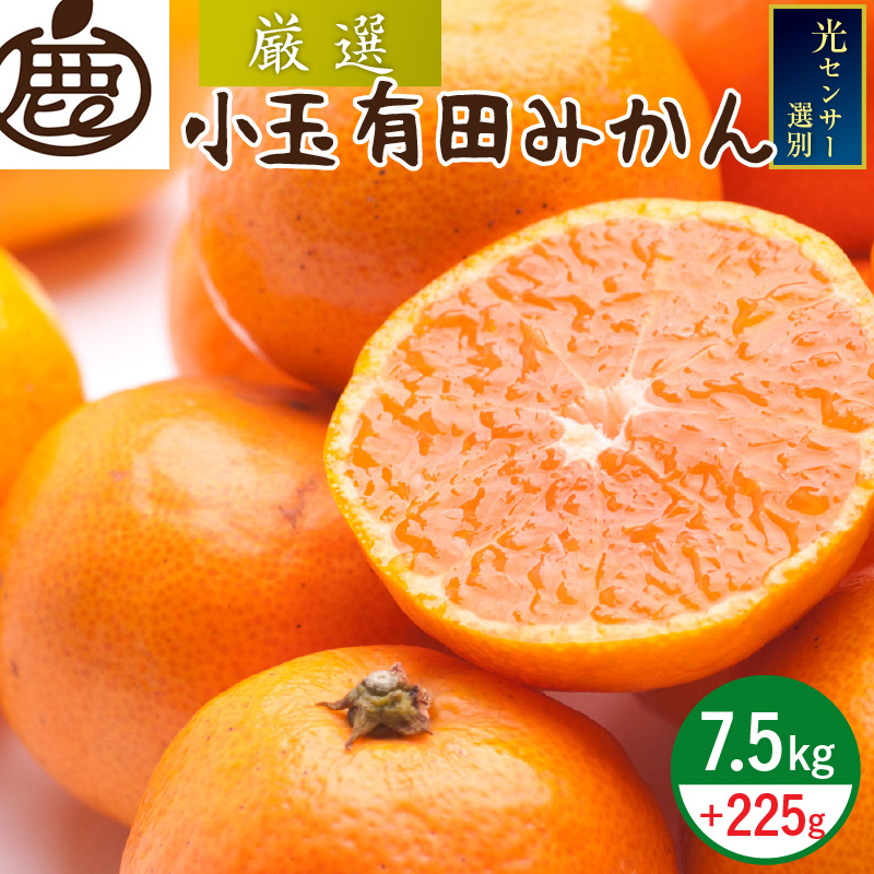 AB7430_Y_【直営限定】《2025年11月～発送》【和歌山特産品