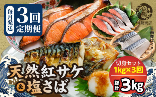 G60_T53_【定期便　全3回】人気の2種塩さば＆紅鮭切り身セット計3kg (1kg × 3回)