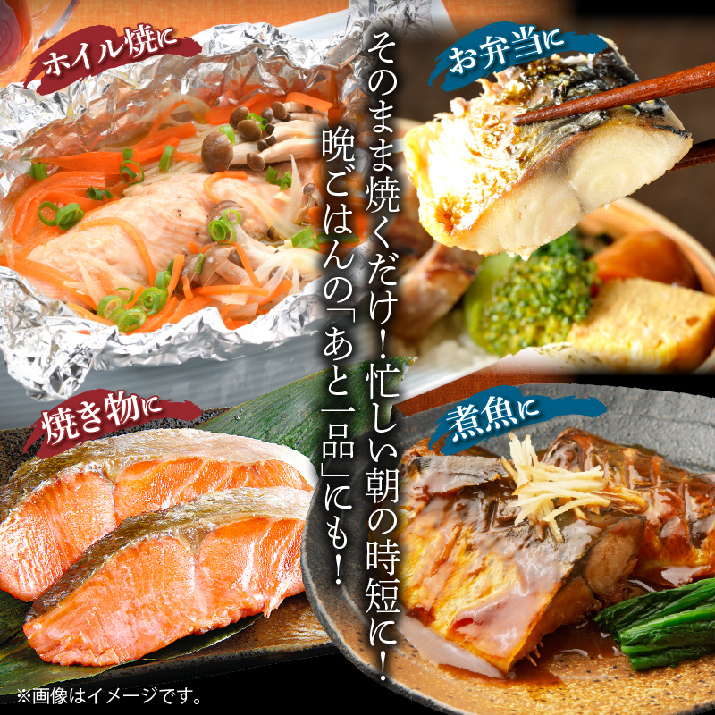 G60_T53_【定期便　全3回】人気の2種塩さば＆紅鮭切り身セット計3kg (1kg × 3回)