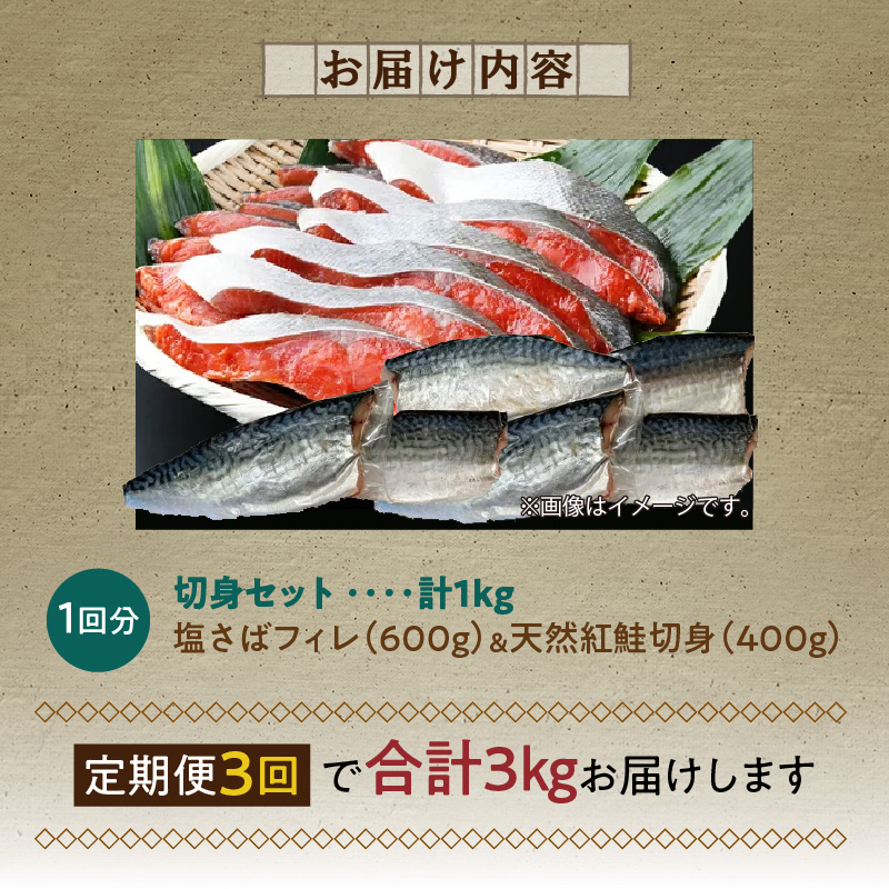 G60_T53_【定期便　全3回】人気の2種塩さば＆紅鮭切り身セット計3kg (1kg × 3回)