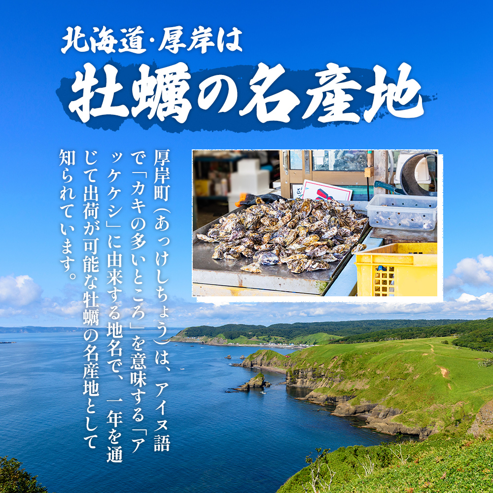北海道厚岸町のふるさと納税 剥き牡蠣 160g 北海道 厚岸産 ムキ牡蠣 むき身 海鮮 海の幸 生牡蠣 かき カキ 生 ムキカキ マルえもん