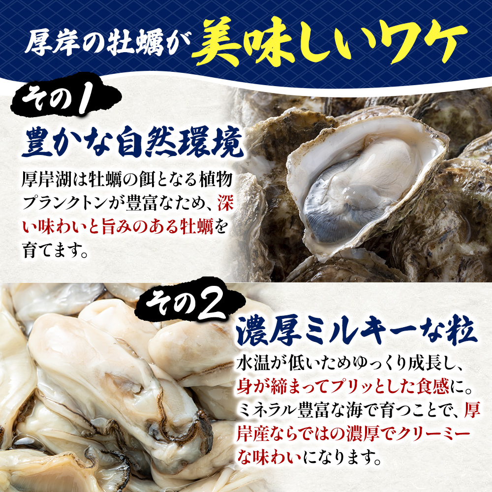 北海道厚岸町のふるさと納税 剥き牡蠣 160g 北海道 厚岸産 ムキ牡蠣 むき身 海鮮 海の幸 生牡蠣 かき カキ 生 ムキカキ マルえもん