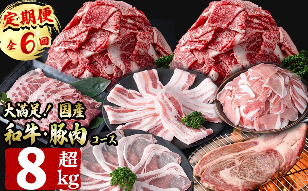 鹿児島県志布志市のふるさと納税 【定期便全6回】大満足！和牛・豚肉定期便(6ヶ月連続・総量8kg以上) t0078-003