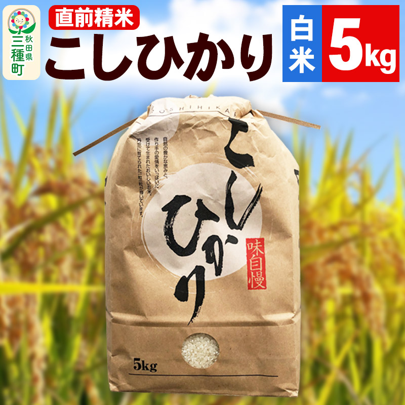 《新米》【精米】こしひかり 5kg（5kg