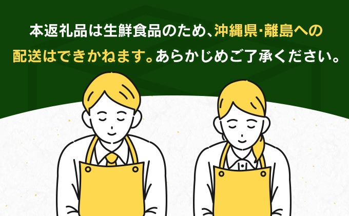 宮崎県日南市のふるさと納税 先行予約 訳あり 海藻木酢 不知火 計7kg以上 傷み補償分付き 期間限定 数量限定 フルーツ 果物 くだもの 柑橘 みかん 訳アリ 国産 食品 デザート おやつ おすそ分け おすすめ ご家庭用 ご自宅用 B品 傷 マーマレード 産地直送 宮崎県 日南市 送料無料_BBV2-24