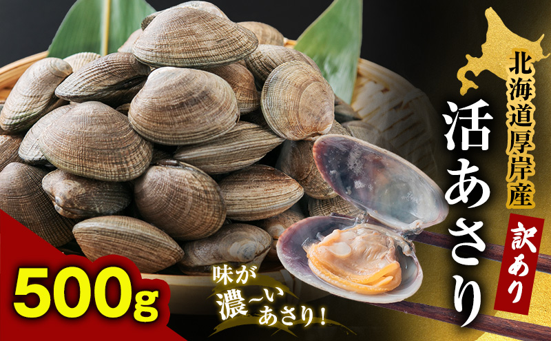 ykCݒzkC ݎY 󂠂  500g AT