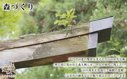 特価！ 新品 桐の花 着物“貴女に注ぐ羨望の眼差し”仕付け糸付 付下げ 2569 新品 西武謹製 絽 刺繍 夏着物 正絹 仕付け糸付“晴れやかな花や扇で