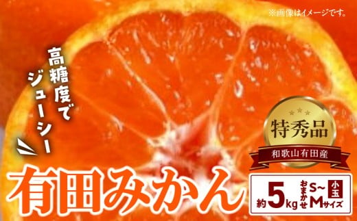 DO6008_紀の国みかん 極みたまご 36個 | 和歌山県湯浅町ふるさと納税