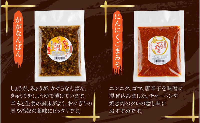 漬けもの 4種 各1個 計4個 みそ漬け しょうゆ漬け 漬物 漬け物 味噌 醤油 ホッポロ漬け かぐらなんばん にんにくごまみそ 野菜 ご当地 発酵食品 ご飯のお供 お取り寄せ 詰め合わせ 高長醸造場 新潟県 十日町市