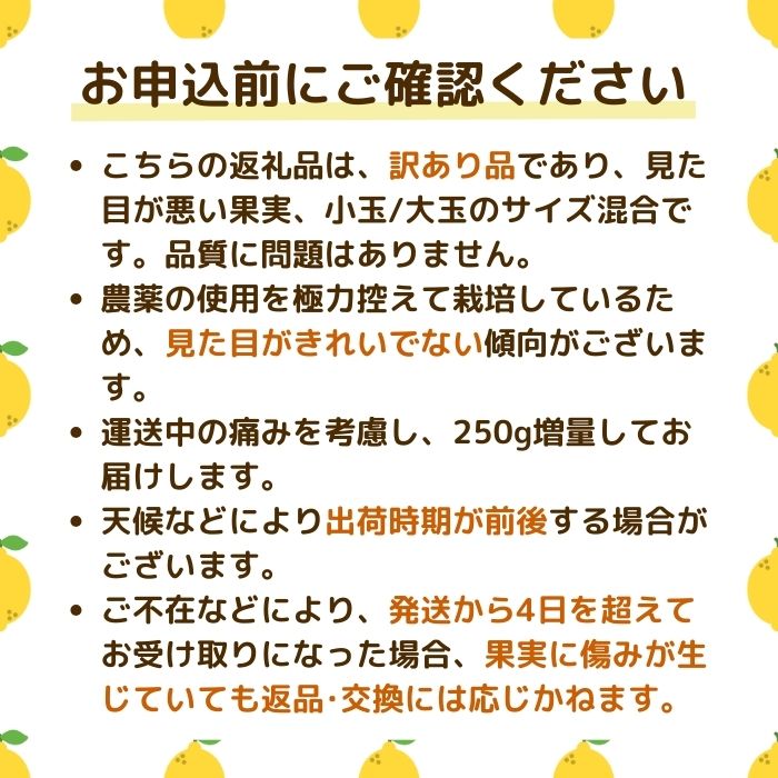 【訳あり】 レモン 訳あり 1.5kg 傷み補償 250g 5000円 送料無料 愛媛 国産 柑橘 フルーツ 産地直送 皮ごと 皮まで食べられる ノーワックス 防腐剤不使用 減農薬 安心 安全 グリーンレモン イエローレモン マイヤーレモン アレンユーレカ りのか 家庭用 お試し サイズ 不揃い B級品 スムージー ジュース レモンサワー 酎ハイ 料理 お菓子作り 旬 の 果物 清家ばんかんビレッジ