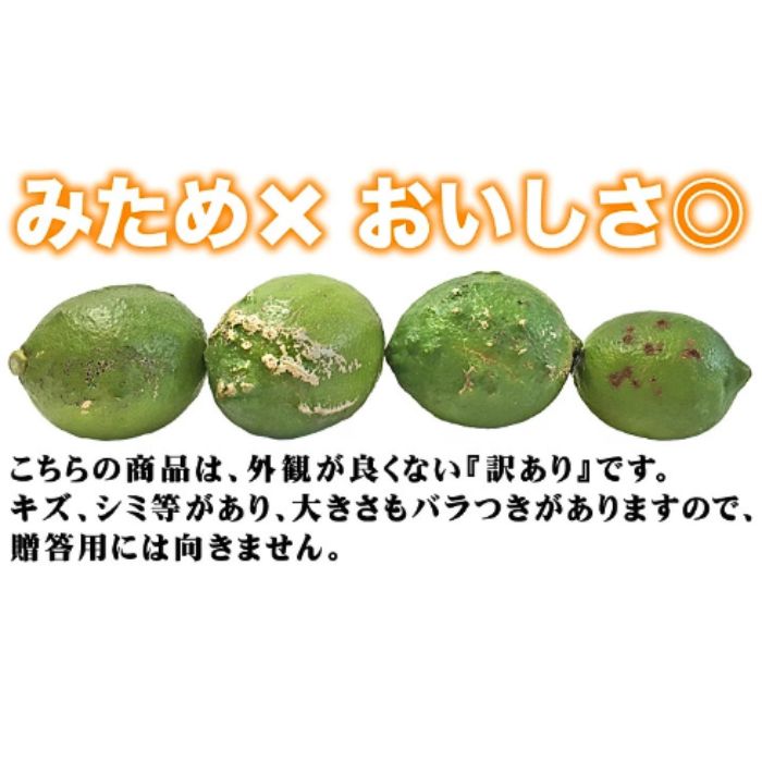 【訳あり】 レモン 訳あり 1.5kg 傷み補償 250g 5000円 送料無料 愛媛 国産 柑橘 フルーツ 産地直送 皮ごと 皮まで食べられる ノーワックス 防腐剤不使用 減農薬 安心 安全 グリーンレモン イエローレモン マイヤーレモン アレンユーレカ りのか 家庭用 お試し サイズ 不揃い B級品 スムージー ジュース レモンサワー 酎ハイ 料理 お菓子作り 旬 の 果物 清家ばんかんビレッジ