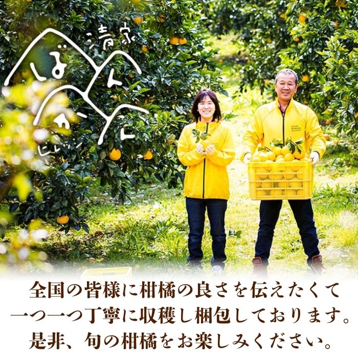 【訳あり】 レモン 訳あり 1.5kg 傷み補償 250g 5000円 送料無料 愛媛 国産 柑橘 フルーツ 産地直送 皮ごと 皮まで食べられる ノーワックス 防腐剤不使用 減農薬 安心 安全 グリーンレモン イエローレモン マイヤーレモン アレンユーレカ りのか 家庭用 お試し サイズ 不揃い B級品 スムージー ジュース レモンサワー 酎ハイ 料理 お菓子作り 旬 の 果物 清家ばんかんビレッジ