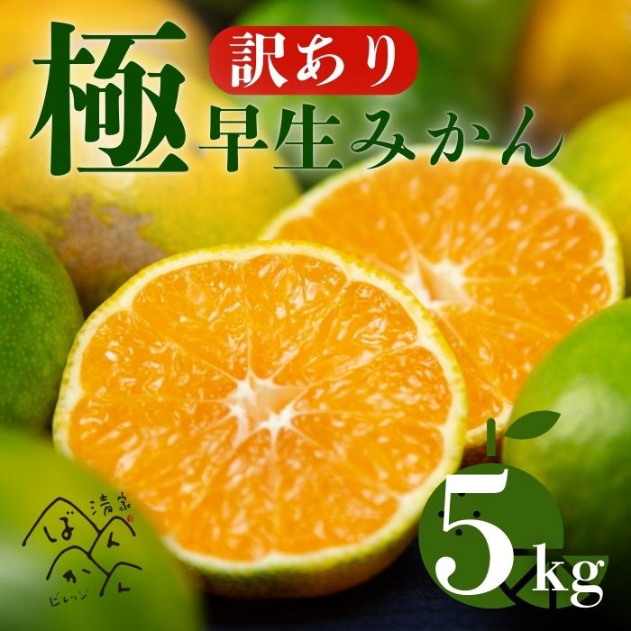 【愛媛県愛南町】【訳あり】愛媛みかん ( 極早生 ) 5kg【発送時期:9月下旬〜】2S-Lサイズ サイズミックス 愛媛みかん 温州みかん 一番みかん 柑橘 みかん 愛媛県 愛南町 清家ばんかんビレッジ