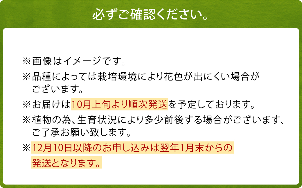 ユリ球根 カサブランカ 3種 各4球 合計12球 球根 大球定番 (カサブランカ・ゴールデンカサブランカ・ピンクカサブランカ) 花 フラワー セット 園芸 ガーデニング 植物 高品質 送料無料