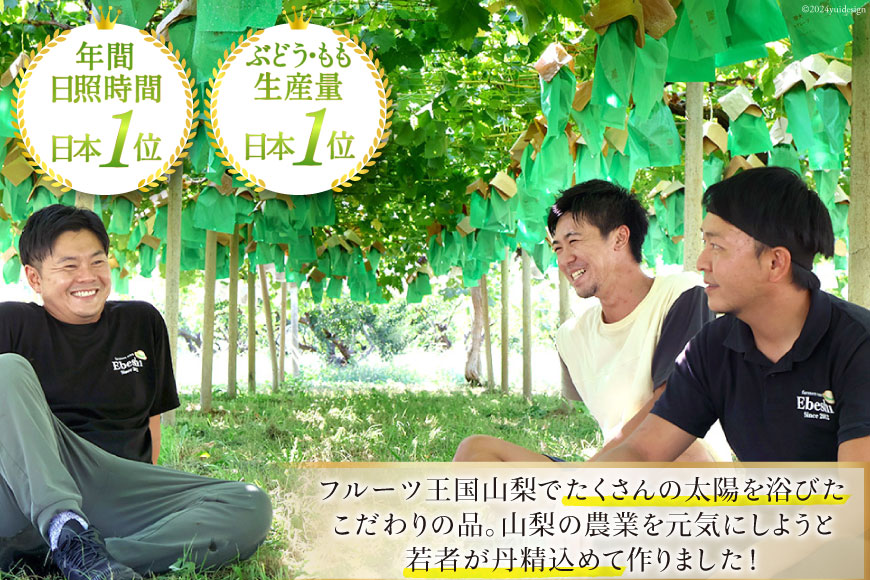 山梨県中央市のふるさと納税 【期間限定発送】【旬の桃とシャインマスカットの2回定期便】令和7年 桃約2kg（5～6玉）、シャインマスカット約1.8kg（2～4房） [株式会社えべし 山梨県 中央市 21470869] ぶどう 桃 フルーツ 果物 くだもの ブドウ シャイン マスカット もも 葡萄 期間限定 季節限定 【2026年6月下旬-10月下旬発送予定】
