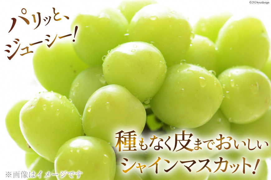 山梨県中央市のふるさと納税 【期間限定発送】【旬の桃とシャインマスカットの2回定期便】令和7年 桃約2kg（5～6玉）、シャインマスカット約1.8kg（2～4房） [株式会社えべし 山梨県 中央市 21470869] ぶどう 桃 フルーツ 果物 くだもの ブドウ シャイン マスカット もも 葡萄 期間限定 季節限定 【2026年6月下旬-10月下旬発送予定】