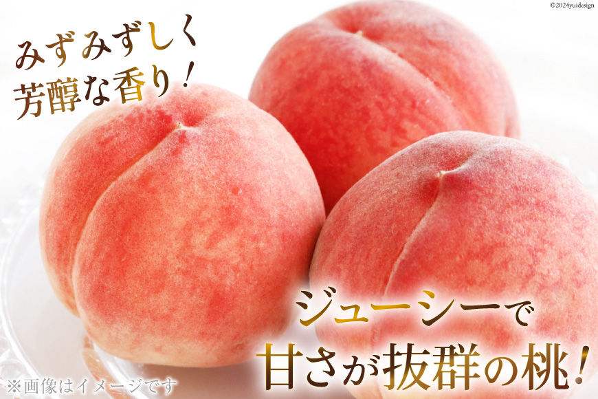 山梨県中央市のふるさと納税 【期間限定発送】【旬の桃とシャインマスカットの2回定期便】令和7年 桃約2kg（5～6玉）、シャインマスカット約1.8kg（2～4房） [株式会社えべし 山梨県 中央市 21470869] ぶどう 桃 フルーツ 果物 くだもの ブドウ シャイン マスカット もも 葡萄 期間限定 季節限定 【2026年6月下旬-10月下旬発送予定】