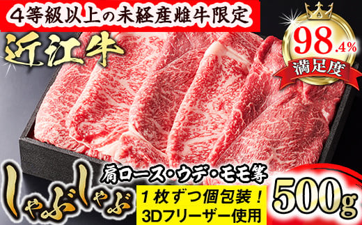 [森三商会]4等級以上の未経産雌牛限定 近江牛上しゃぶしゃぶ500g(モモ・肩ロース・ウデ等)[GM08U]