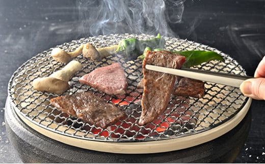 【森三商会】4等級以上の未経産雌牛限定　近江牛特選焼肉500g(カルビ・霜降りバラ）【GM10W】