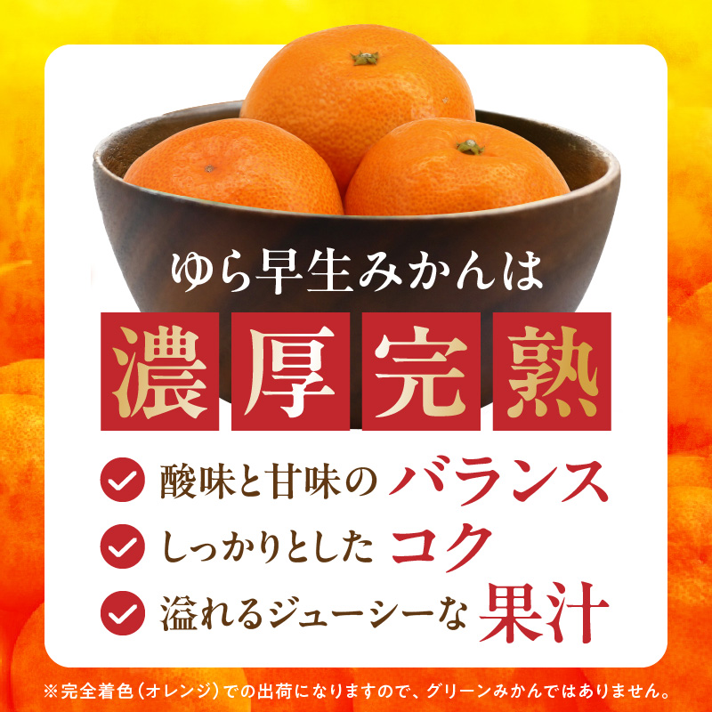DA6107n_Y_【直営限定】北真農園 有田みかん ゆら早生 濃厚完熟