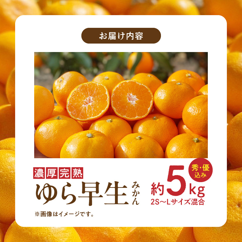 特選品田村みかん ゆら早生2s 5000g