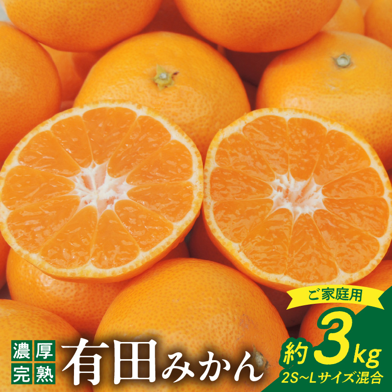 DA6108n_Y_【直営限定】北真農園 有田みかん 家庭用 3kg 濃厚完熟 お
