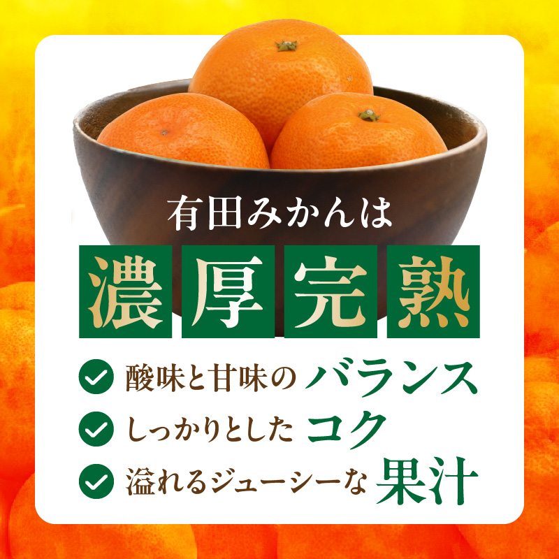 DA6108n_Y_【直営限定】北真農園 有田みかん 家庭用 3kg 濃厚完熟 お