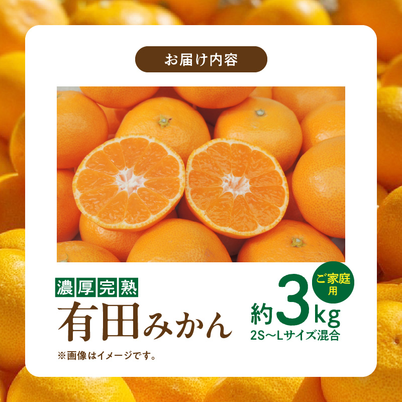 DA6108n_Y_【直営限定】北真農園 有田みかん 家庭用 3kg 濃厚完熟 お