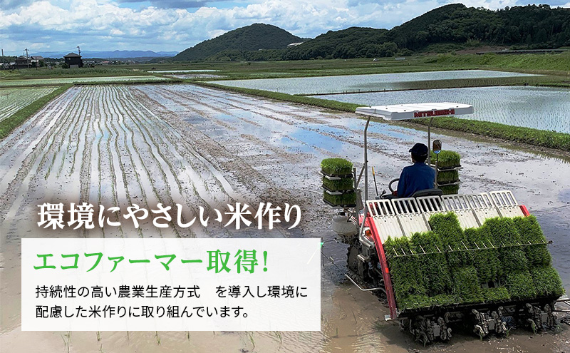 生活応援セール！新米　令和3年産　農家直送　きぬむすめ　20㎏ 楽天市場】きぬむすめ 20kgの通販