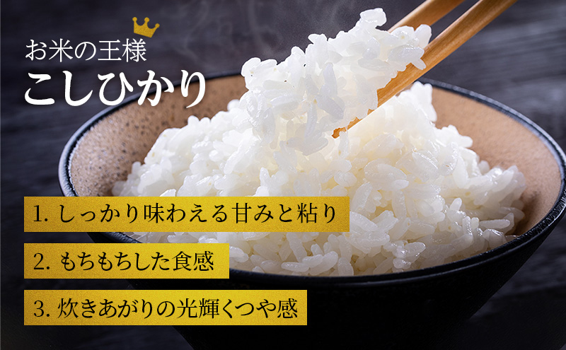 米 令和7年産 コシヒカリ 6kg (3kg×2袋) 精米 白米 お米 こめ こしひかり